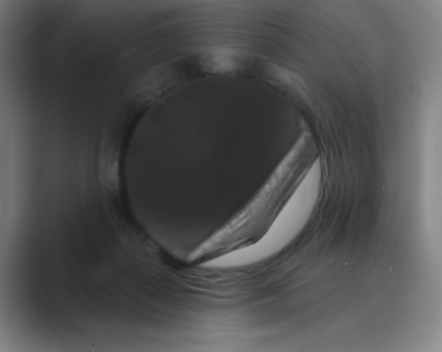 X0000088690267200706282008