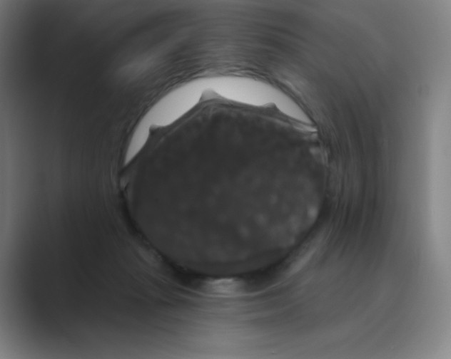 X0000088690269200706282008