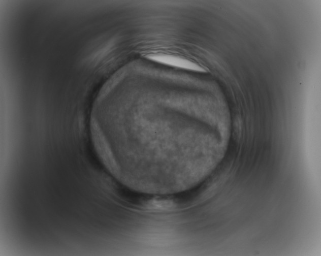 X0000088690270200706282008