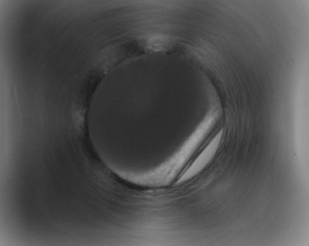 X0000088690271200706282008