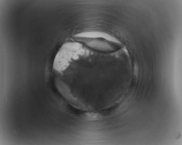 X0000088690272200706282008