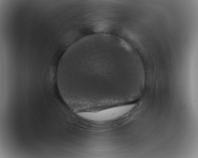 X0000088690273200706282008