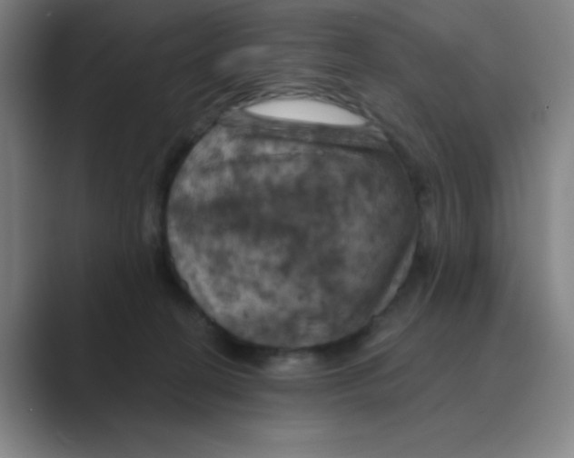 X0000088690274200706282008