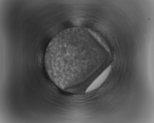 X0000088690275200706282008