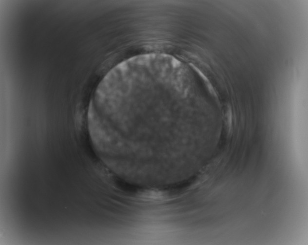 X0000088690276200706282008