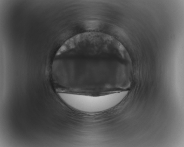 X0000088690277200706282008