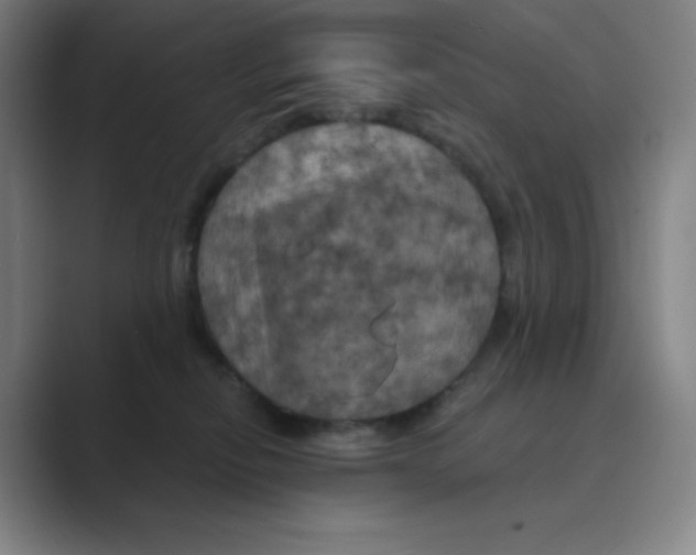 X0000088690278200706282008