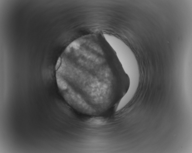 X0000088690280200706282008