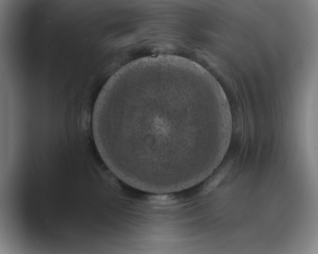 X0000088690281200706282008