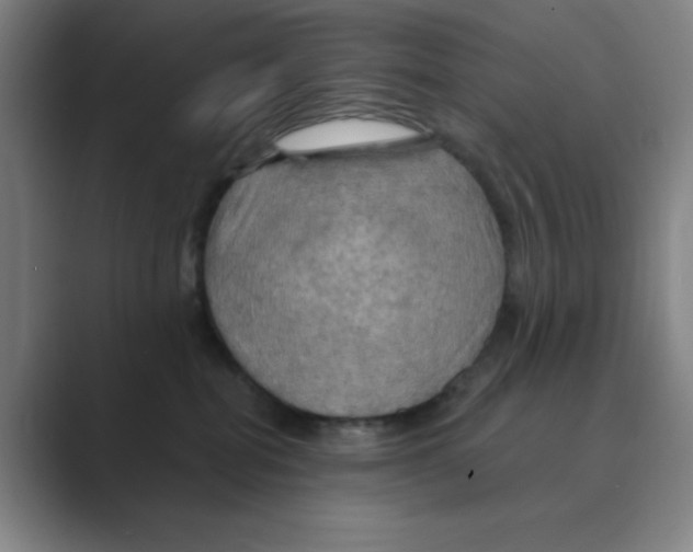 X0000088690282200706282008