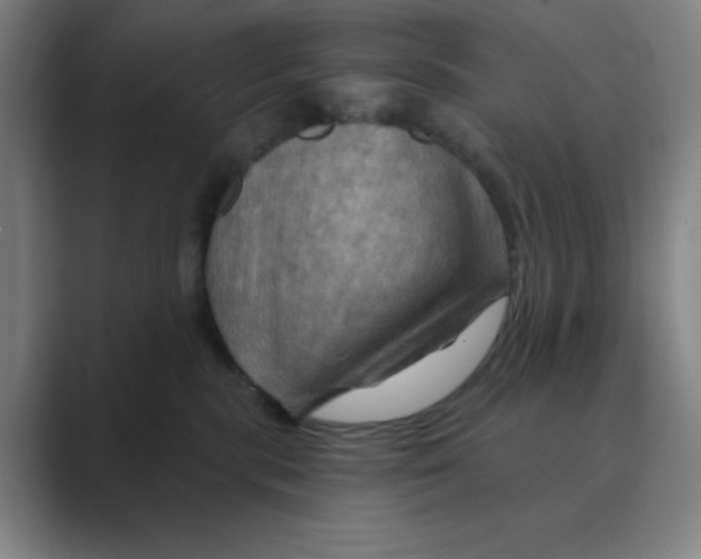 X0000088690283200706282008