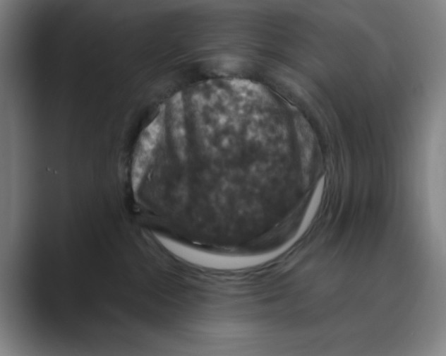 X0000088690284200706282009