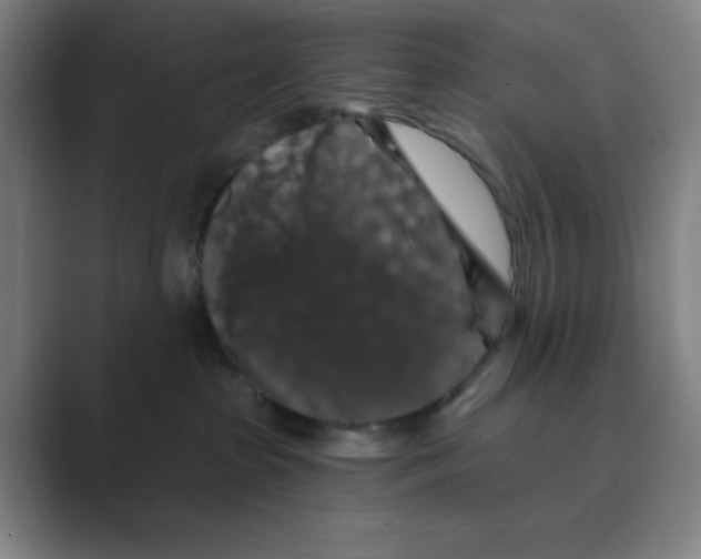 X0000088690285200706282009