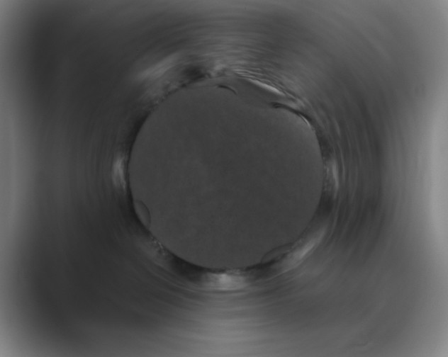 X0000088690286200706282009