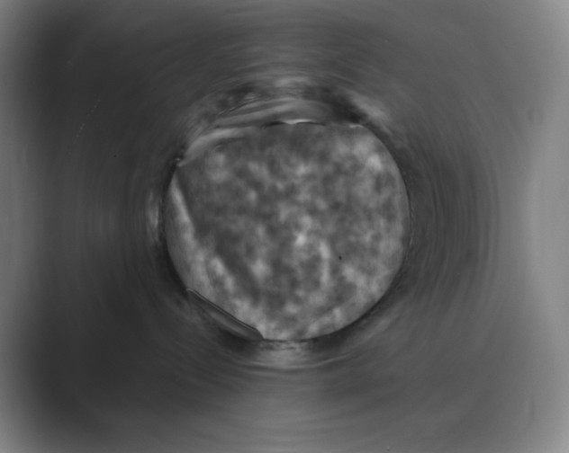 X0000088690288200706282009