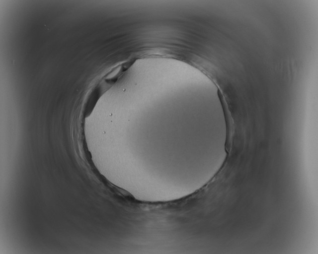 X0000088690289200706282008