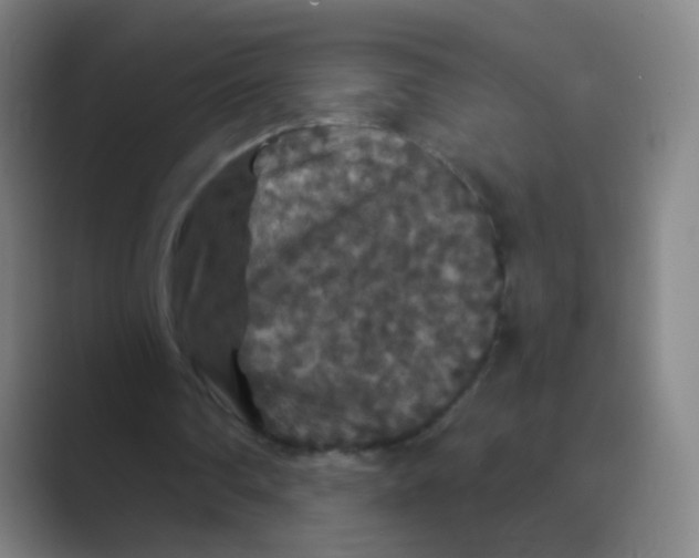 X0000088690290200706282008