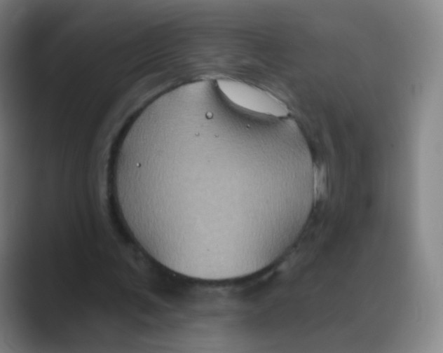 X0000088690291200706282008