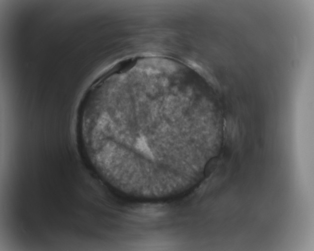 X0000088690292200706282008