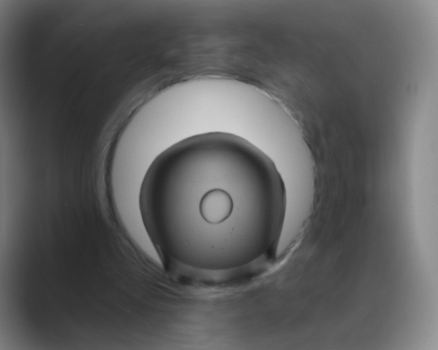 X0000088690293200706282008