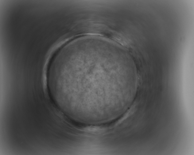 X0000088690294200706282008