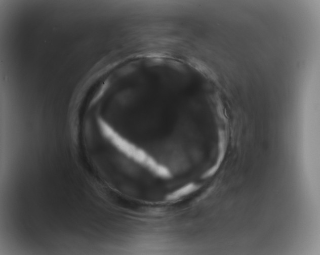 X0000088690295200706282008