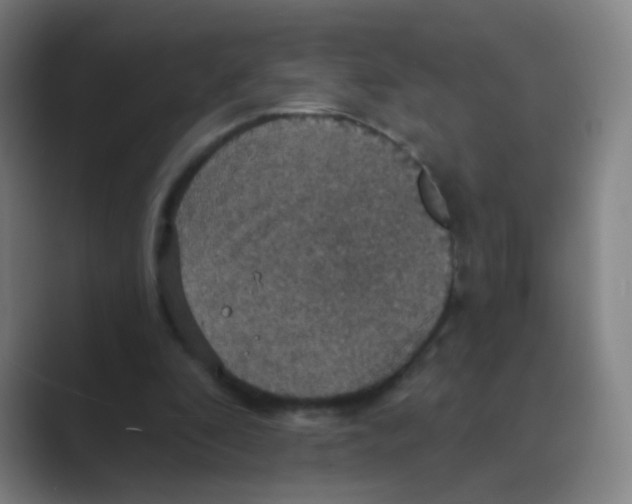 X0000088690296200706282008