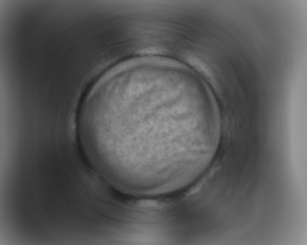 X0000088690298200706282008