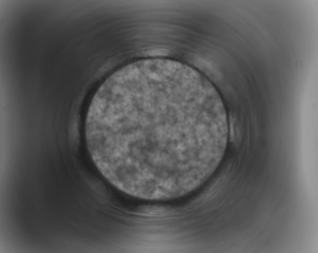 X0000088690300200706282008