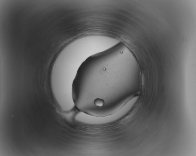 X0000088690301200706282008