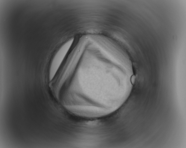 X0000088690306200706282008