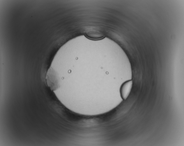 X0000088690307200706282008