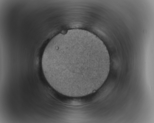 X0000088690308200706282008