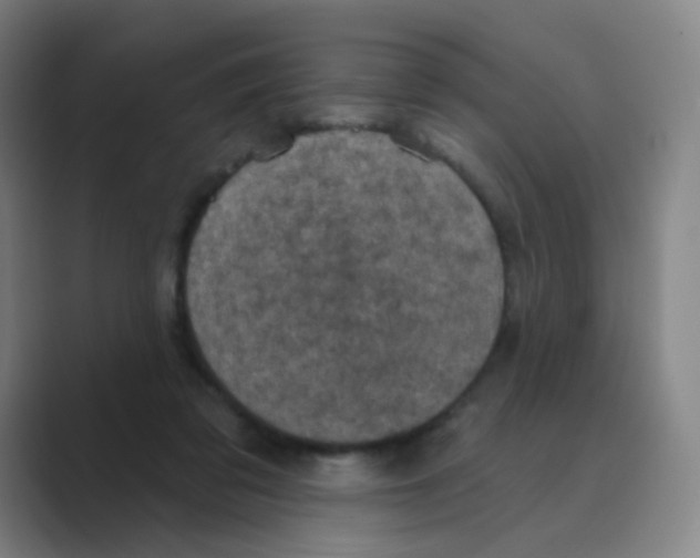 X0000088690309200706282008