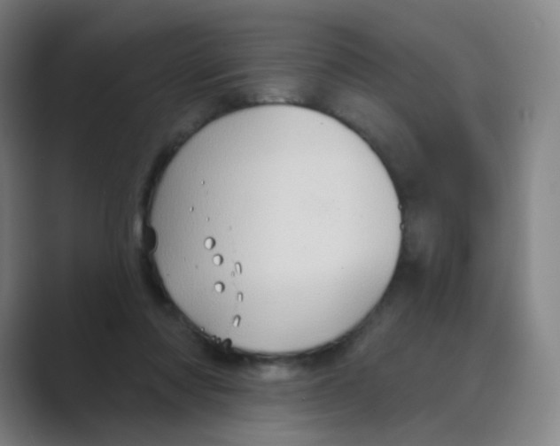 X0000088690310200706282008