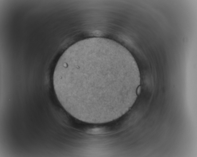 X0000088690312200706282008