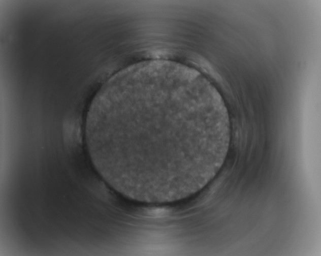 X0000088690313200706282008