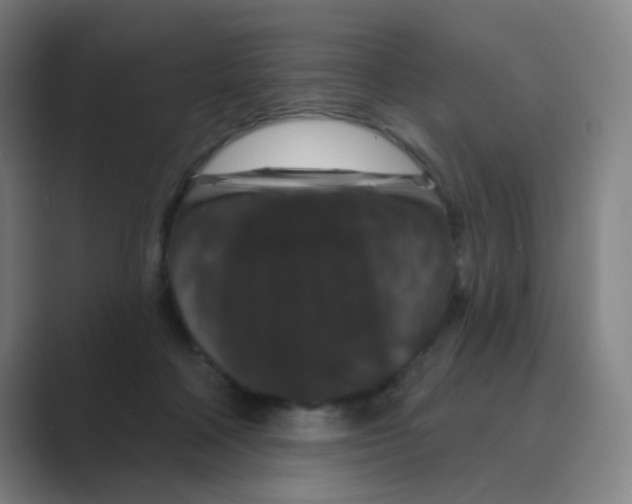 X0000088690314200706282008