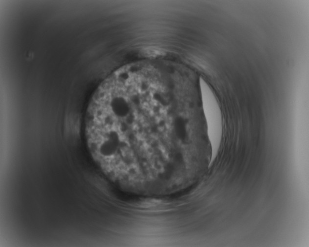 X0000088690315200706282008