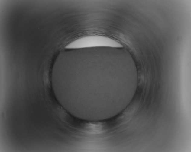 X0000088690317200706282008