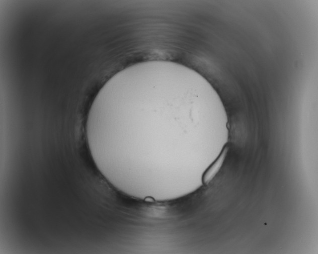 X0000088690318200706282008