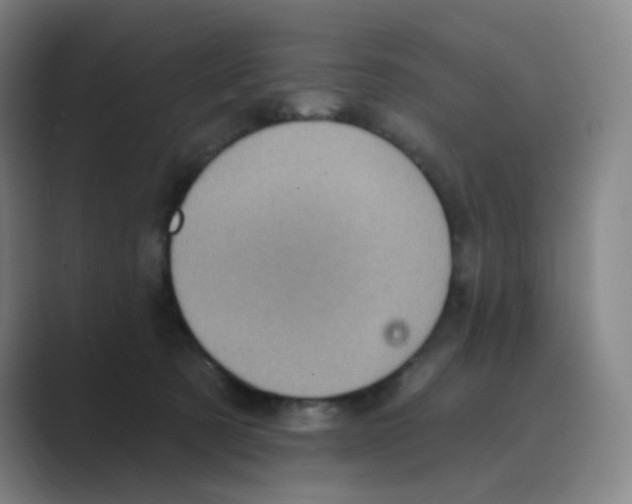 X0000088690321200706282008