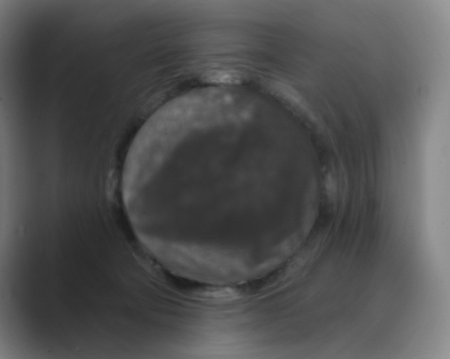X0000088690322200706282008