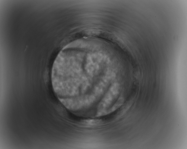 X0000088690323200706282007