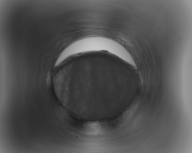 X0000088690325200706282007