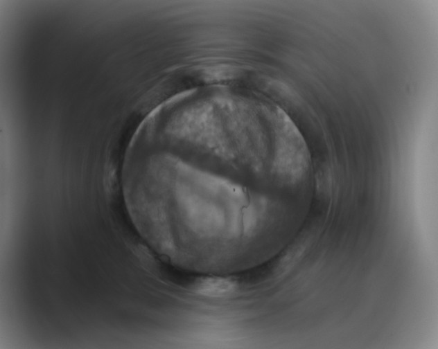 X0000088690327200706282007