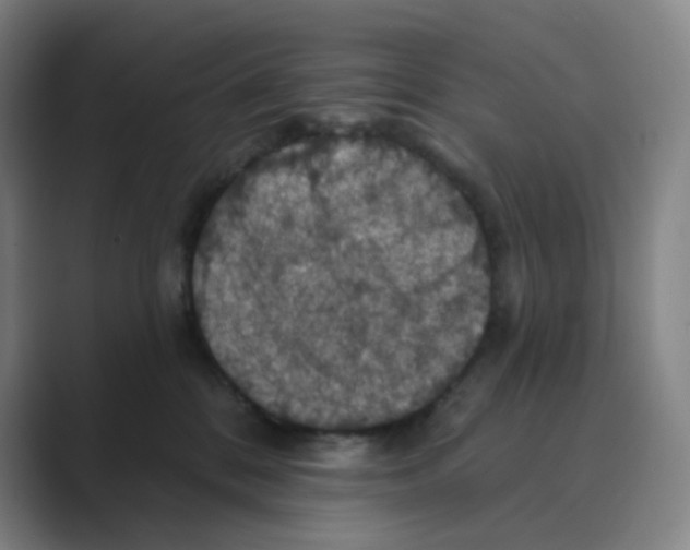 X0000088690328200706282007