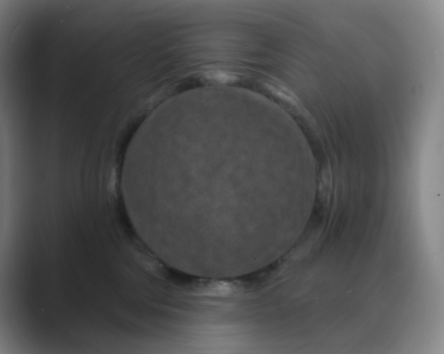 X0000088690330200706282007