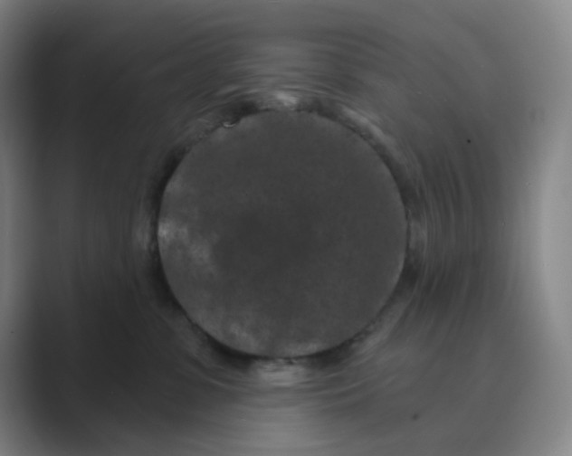 X0000088690331200706282007