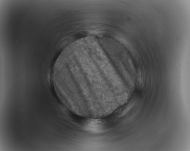 X0000088690333200706282007